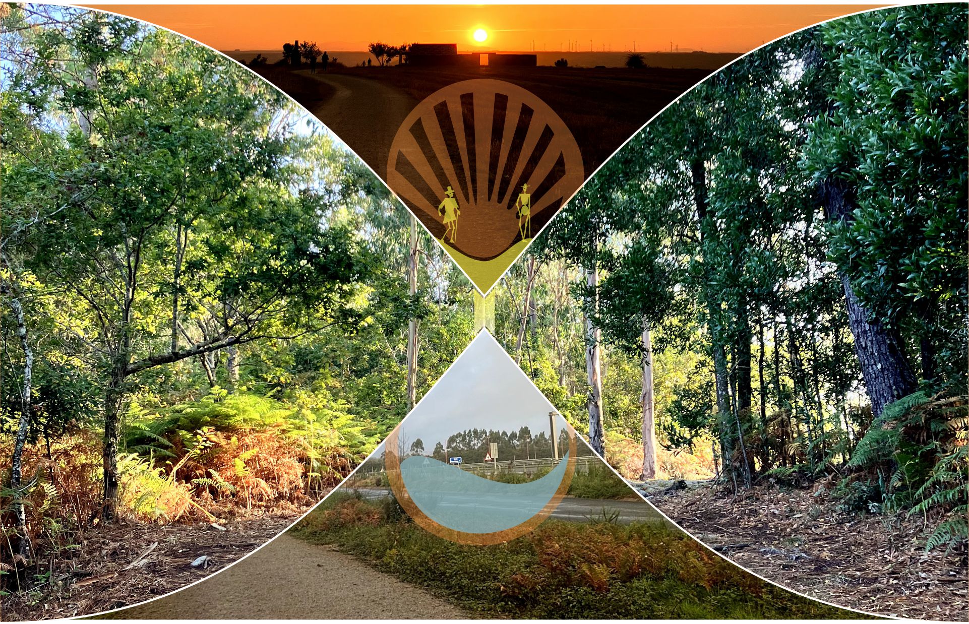 Landscape image 4