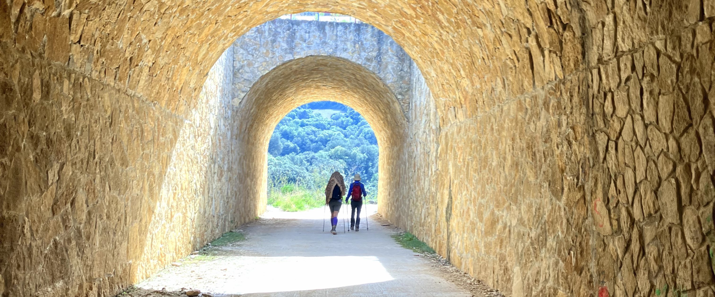 caminamos contigo